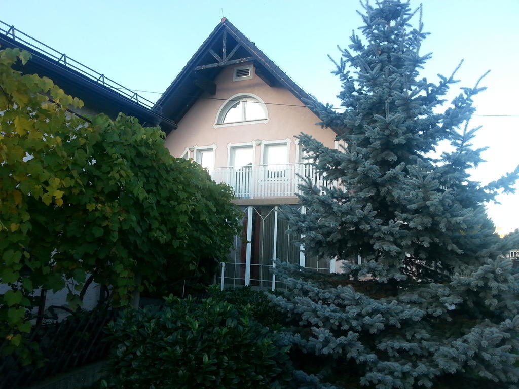 Bed&Breakfast Zeleni Kakadu Marburg Exterior foto