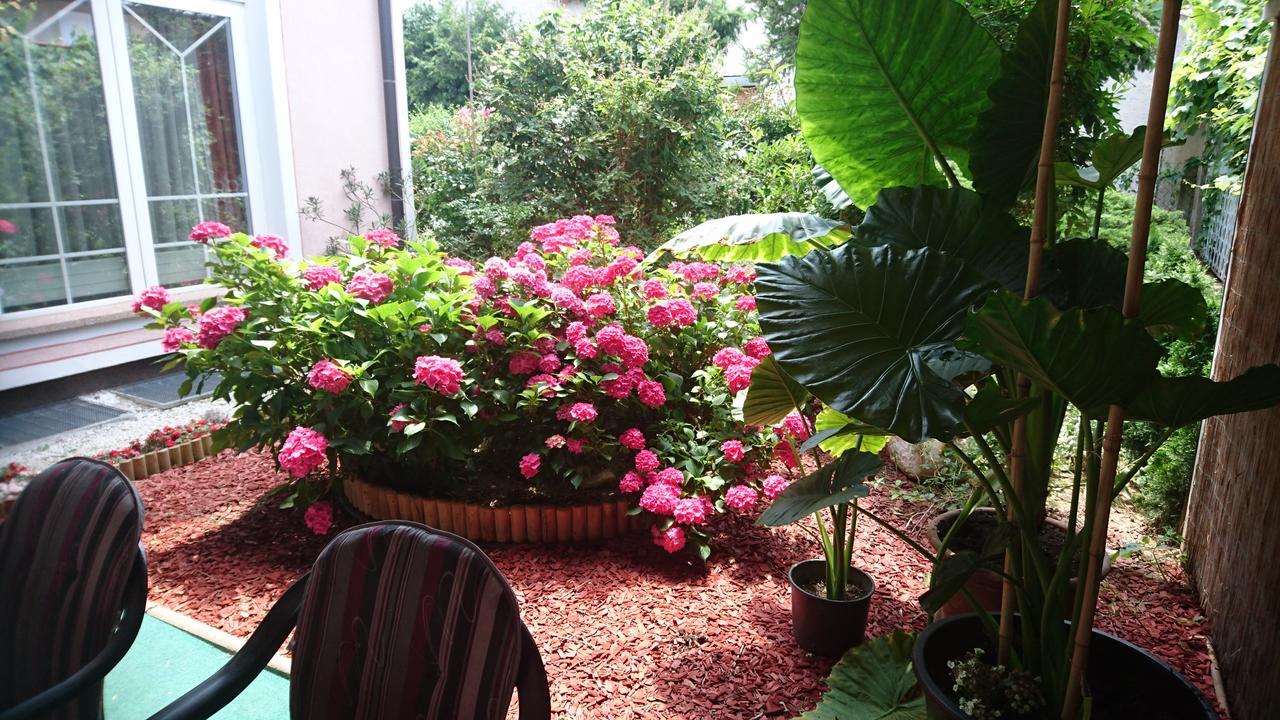 Bed&Breakfast Zeleni Kakadu Marburg Exterior foto